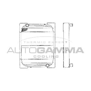 AUTOGAMMA 403936 Радіатор, система охолодження двигуна