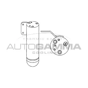 106206 AUTOGAMMA