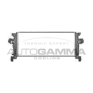 107313 AUTOGAMMA