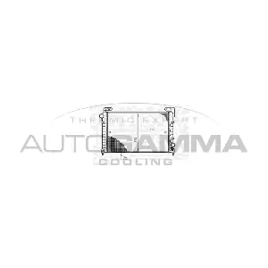 100906 AUTOGAMMA