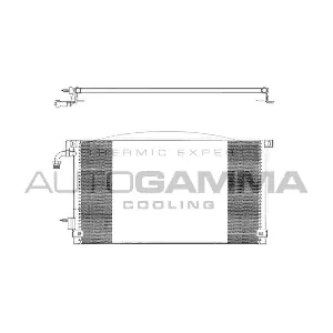 102625 AUTOGAMMA