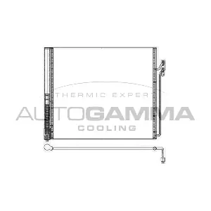 107136 AUTOGAMMA