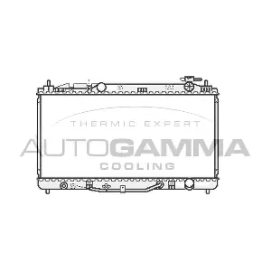 107061 AUTOGAMMA