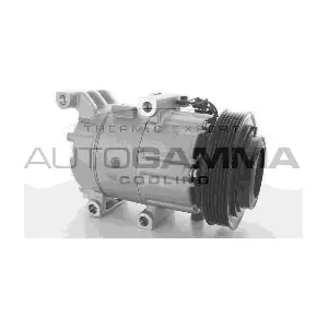 118509 AUTOGAMMA