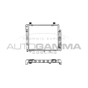 101319 AUTOGAMMA