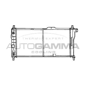 100693 AUTOGAMMA