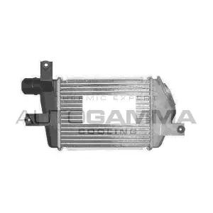 107603 AUTOGAMMA