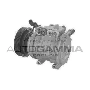 118735 AUTOGAMMA