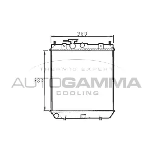 100627 AUTOGAMMA