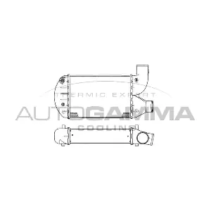 103156 AUTOGAMMA