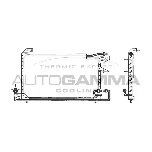 102815 AUTOGAMMA
