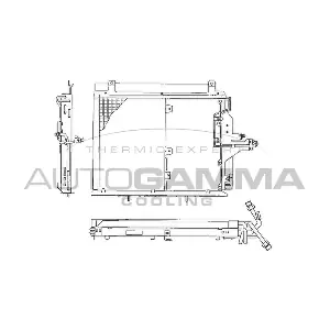101696 AUTOGAMMA