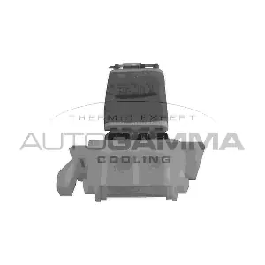 GA15289 AUTOGAMMA