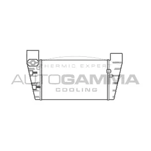 103599 AUTOGAMMA