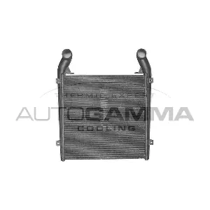 402050 AUTOGAMMA