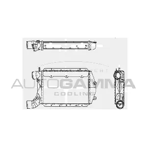 102410 AUTOGAMMA