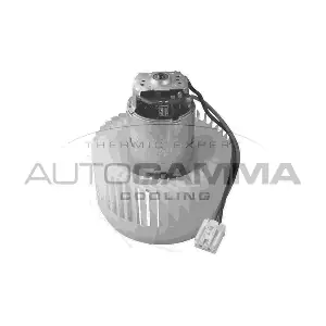 GA34503 AUTOGAMMA