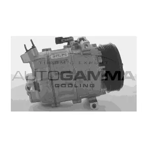 118575 AUTOGAMMA