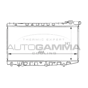 101019 AUTOGAMMA
