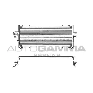 102715 AUTOGAMMA