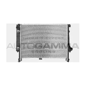 101124 AUTOGAMMA