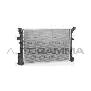 107165 AUTOGAMMA