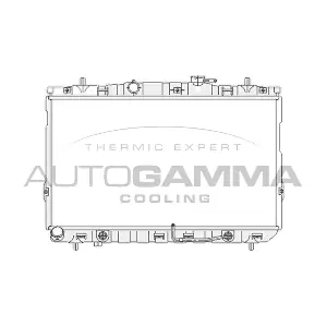 104077 AUTOGAMMA