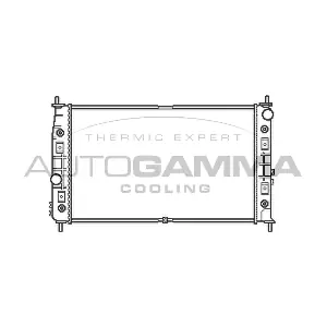 103762 AUTOGAMMA