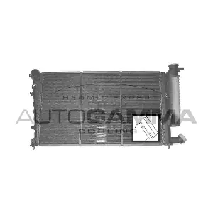 101313 AUTOGAMMA