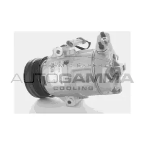 AUTOGAMMA 108010