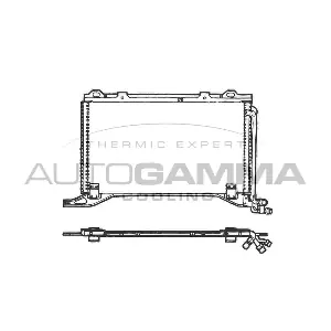 101731 AUTOGAMMA