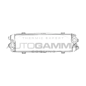 101939 AUTOGAMMA