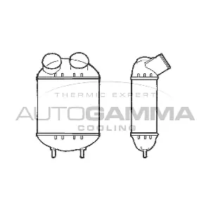 101476 AUTOGAMMA