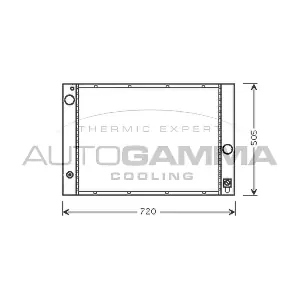 103394 AUTOGAMMA