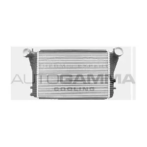 103616 AUTOGAMMA