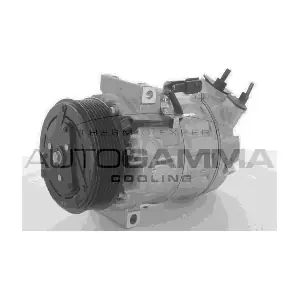118574 AUTOGAMMA