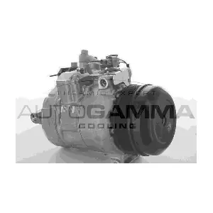 118602 AUTOGAMMA