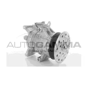 118416 AUTOGAMMA