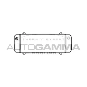 101870 AUTOGAMMA