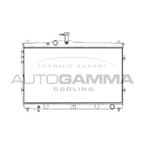 107391 AUTOGAMMA