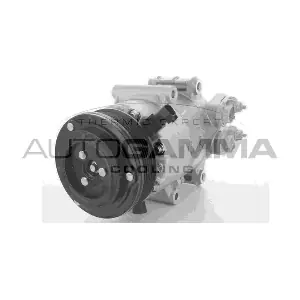 118446 AUTOGAMMA
