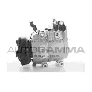 108691 AUTOGAMMA