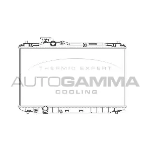 107176 AUTOGAMMA