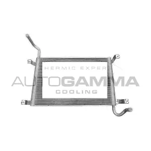 107493 AUTOGAMMA