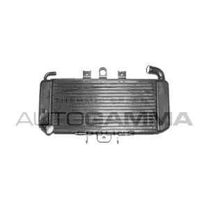 104156 AUTOGAMMA