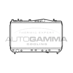 103651 AUTOGAMMA