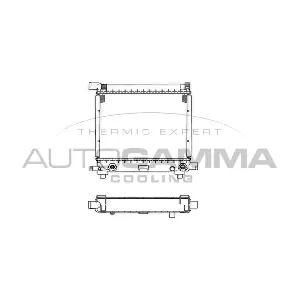 100541 AUTOGAMMA