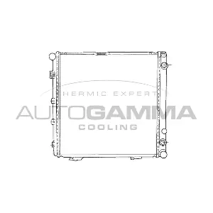 100539 AUTOGAMMA