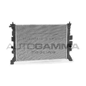 107163 AUTOGAMMA
