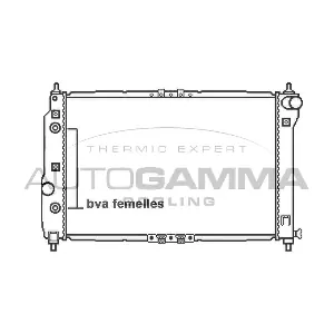 105778 AUTOGAMMA